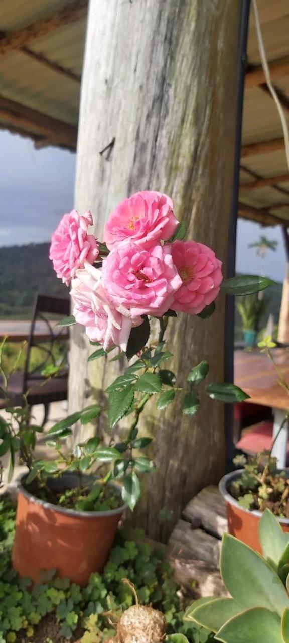 El Rincon De Las Flores Bajo Tigre エクステリア 写真