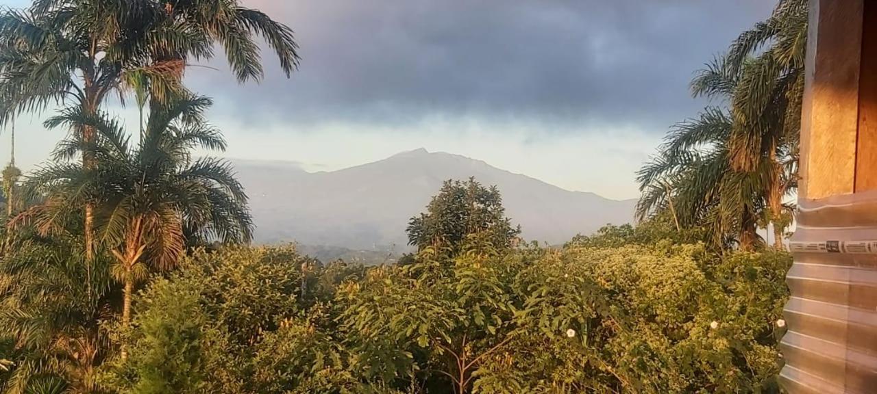 El Rincon De Las Flores Bajo Tigre エクステリア 写真