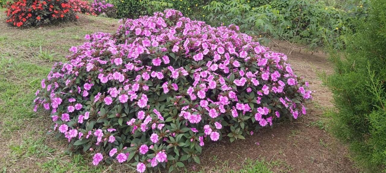 El Rincon De Las Flores Bajo Tigre エクステリア 写真